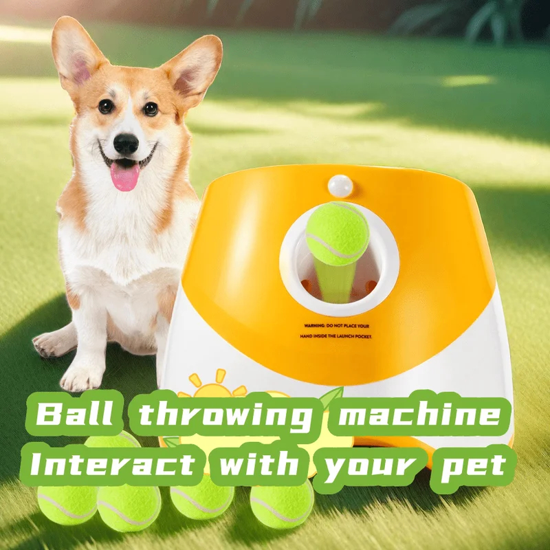 Pinball Machine - Lanceur automatique pour chiens, jouet de