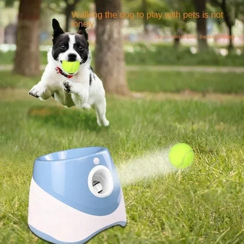 Lanceur automatique pour chien - Pinball Machine avis et prix